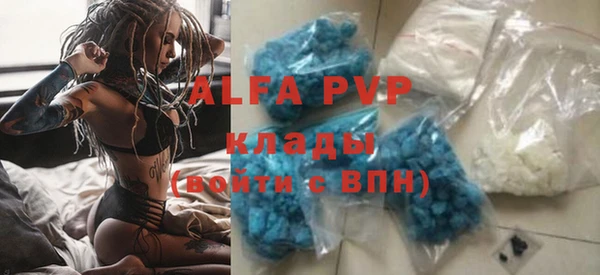 прущие грибы Михайловка