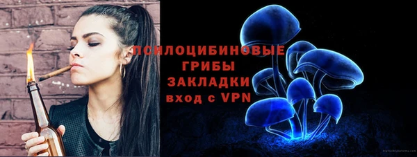 прущие грибы Михайловка