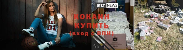 прущие грибы Михайловка