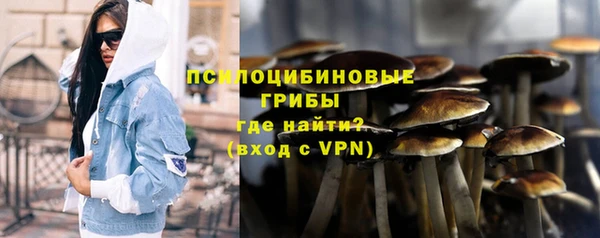 прущие грибы Михайловка