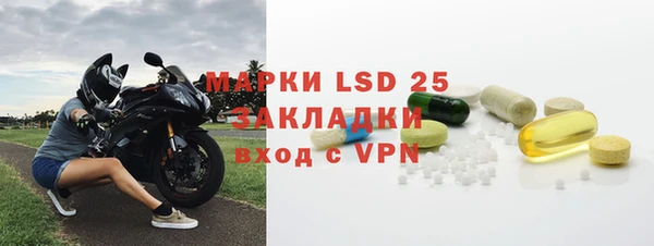прущие грибы Михайловка