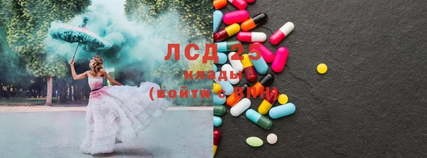 прущие грибы Михайловка