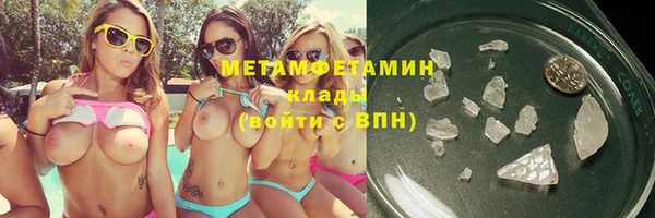 прущие грибы Михайловка